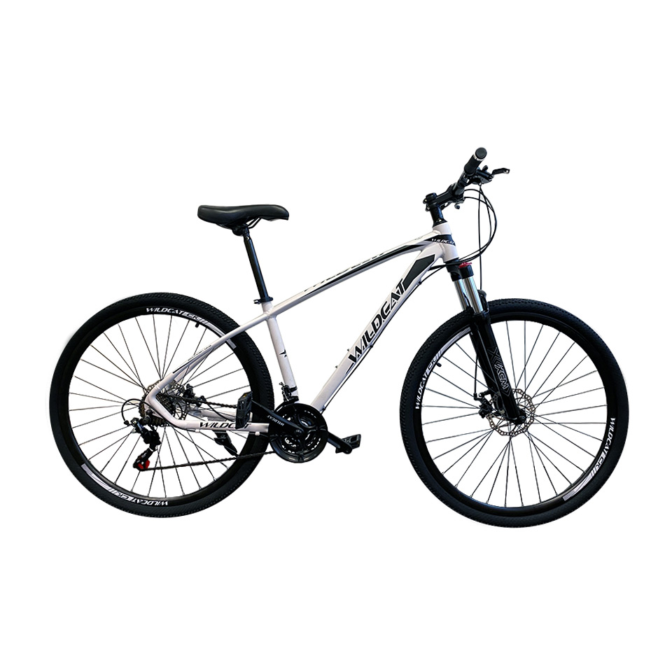 K2 Plus MTB Bicycle 29" Wheel: White