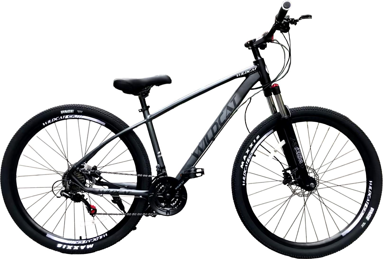 Everest MTB Bicycle 27.5" X 21 Speed: Grey