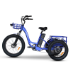 Worcester Cargo Electric Trike : Blue