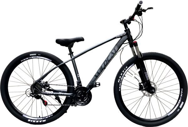 Everest MTB Bicycle 26" X 21 Speed: Grey